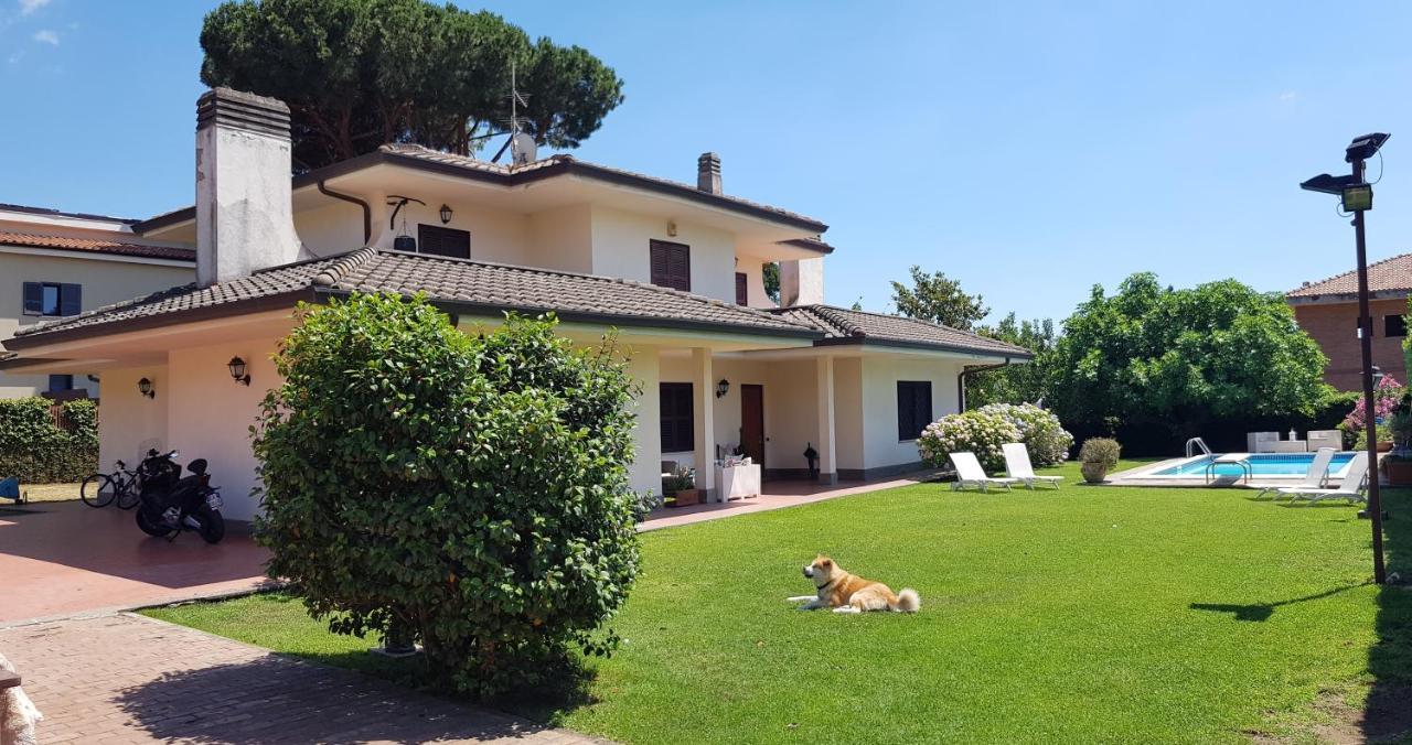 La Pedica B&B Grottaferrata Dış mekan fotoğraf